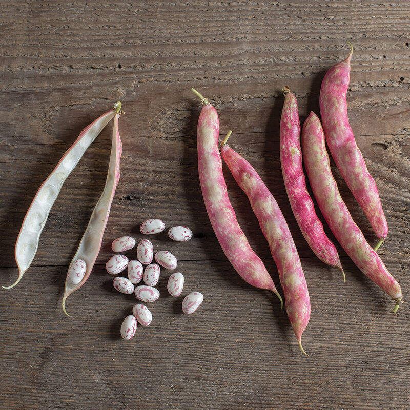 Flambo Pink Beans - 8 oz