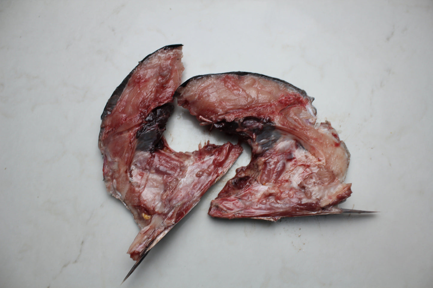 Yellowfin (Ahi) Tuna Collars