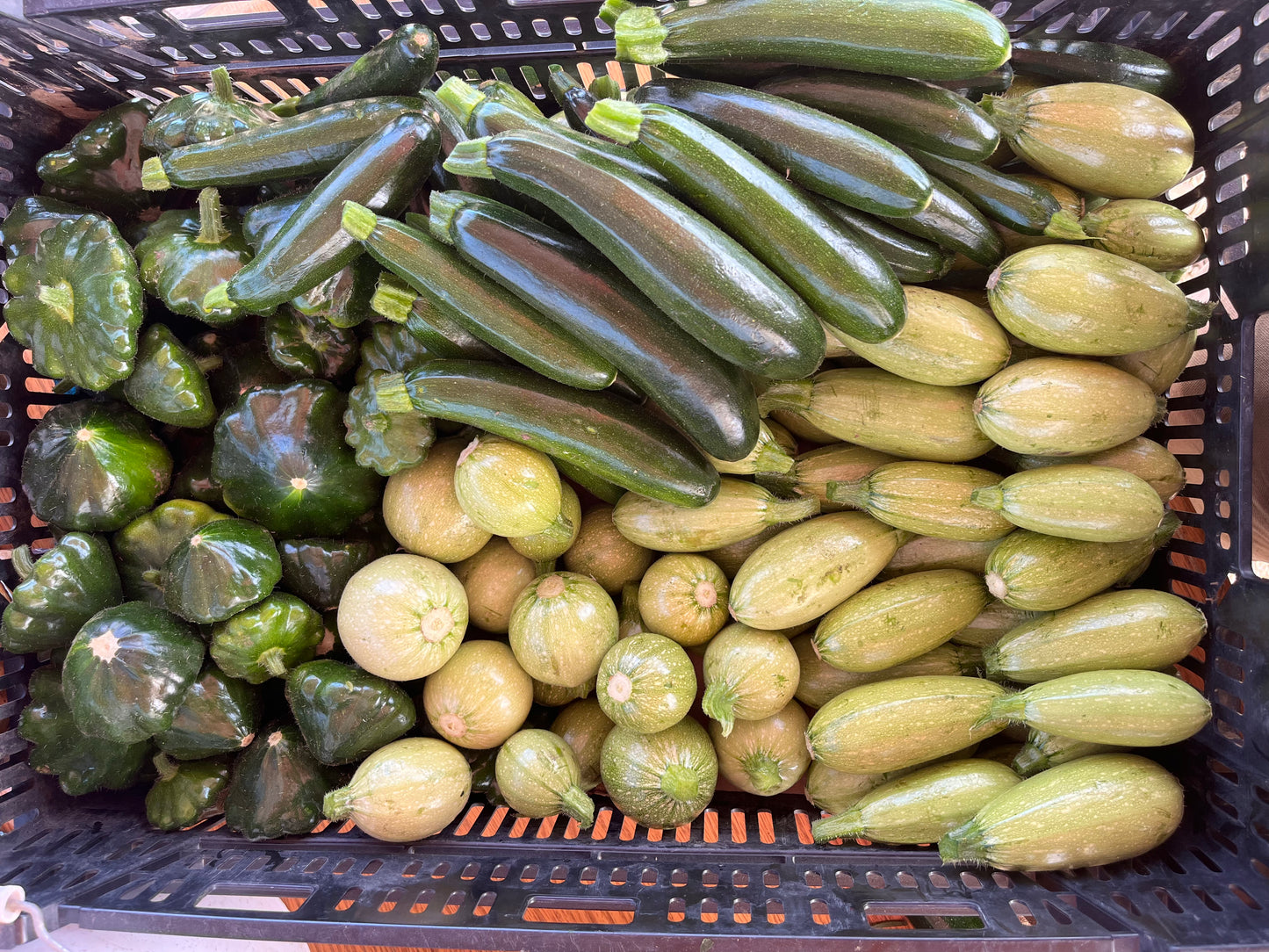 Mixed Summer Squash - 2 lbs