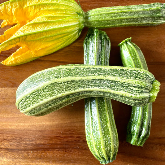 Heirloom Costata Zucchini - 1 lb