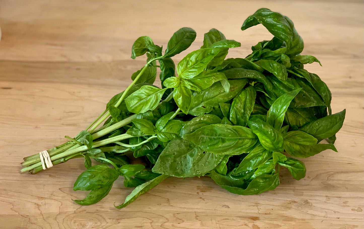 Basil