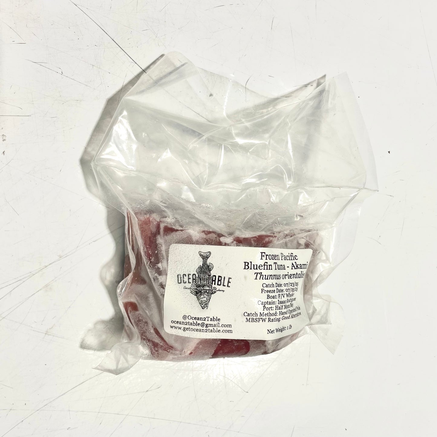 Frozen Bluefin Tuna