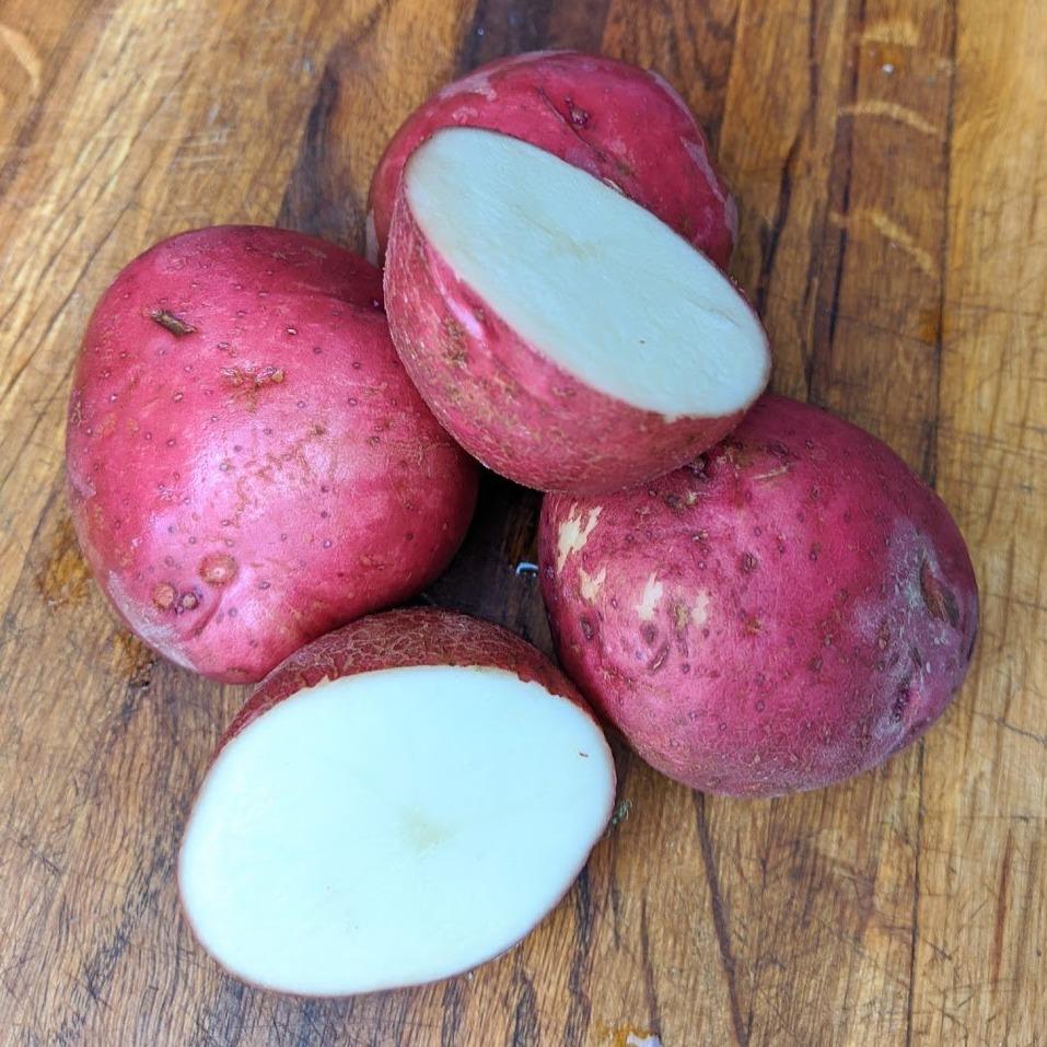 Dark Red Norland Potatoes