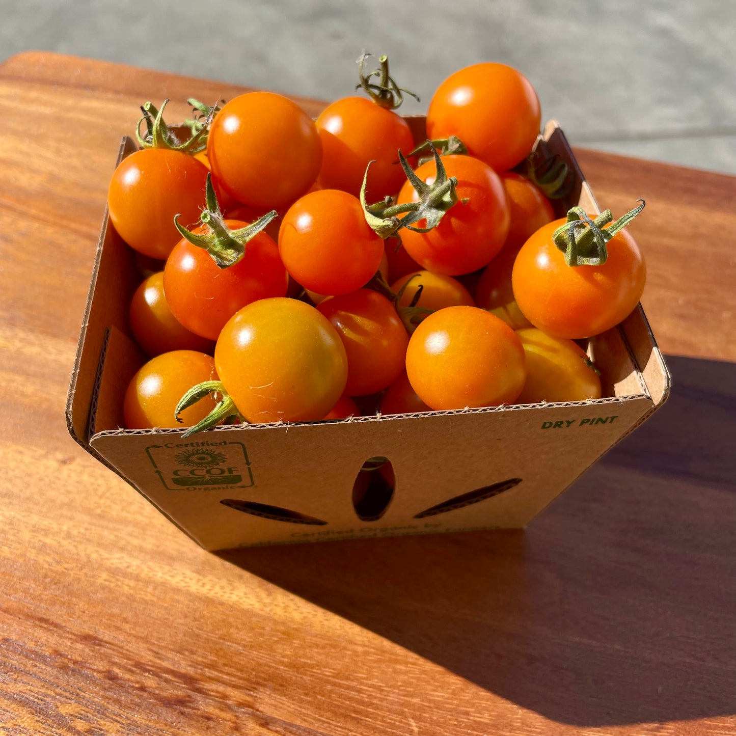 Sungold Cherry Tomatoes - 1 pint