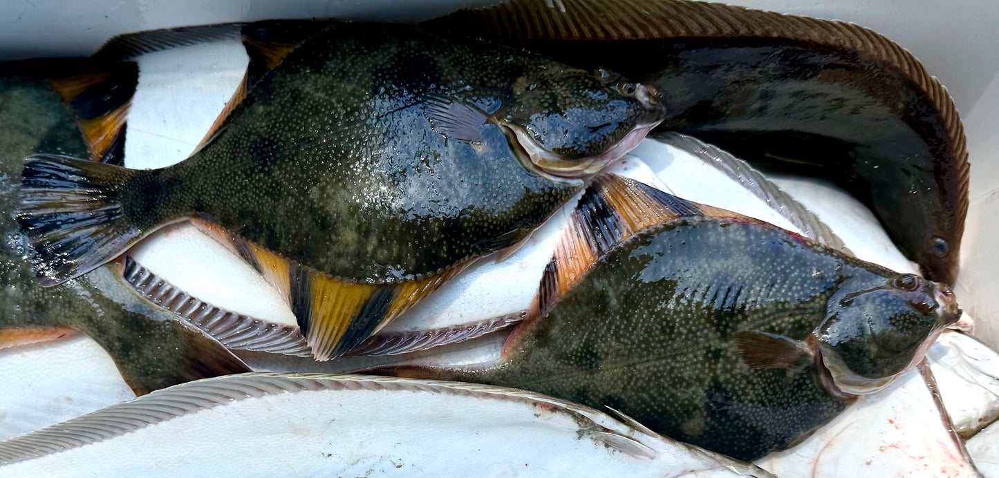 Starry Flounder - 1 lb
