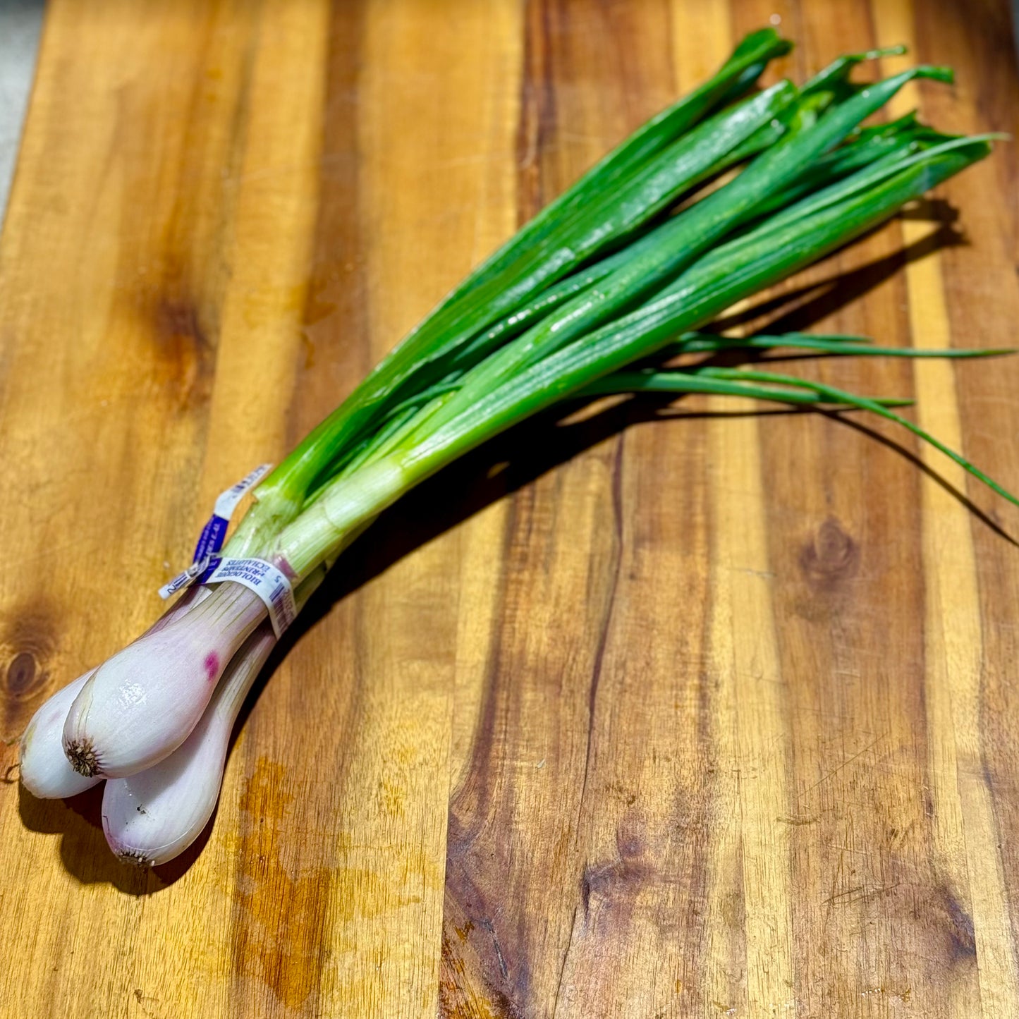 Spring Shallots - 1 bu