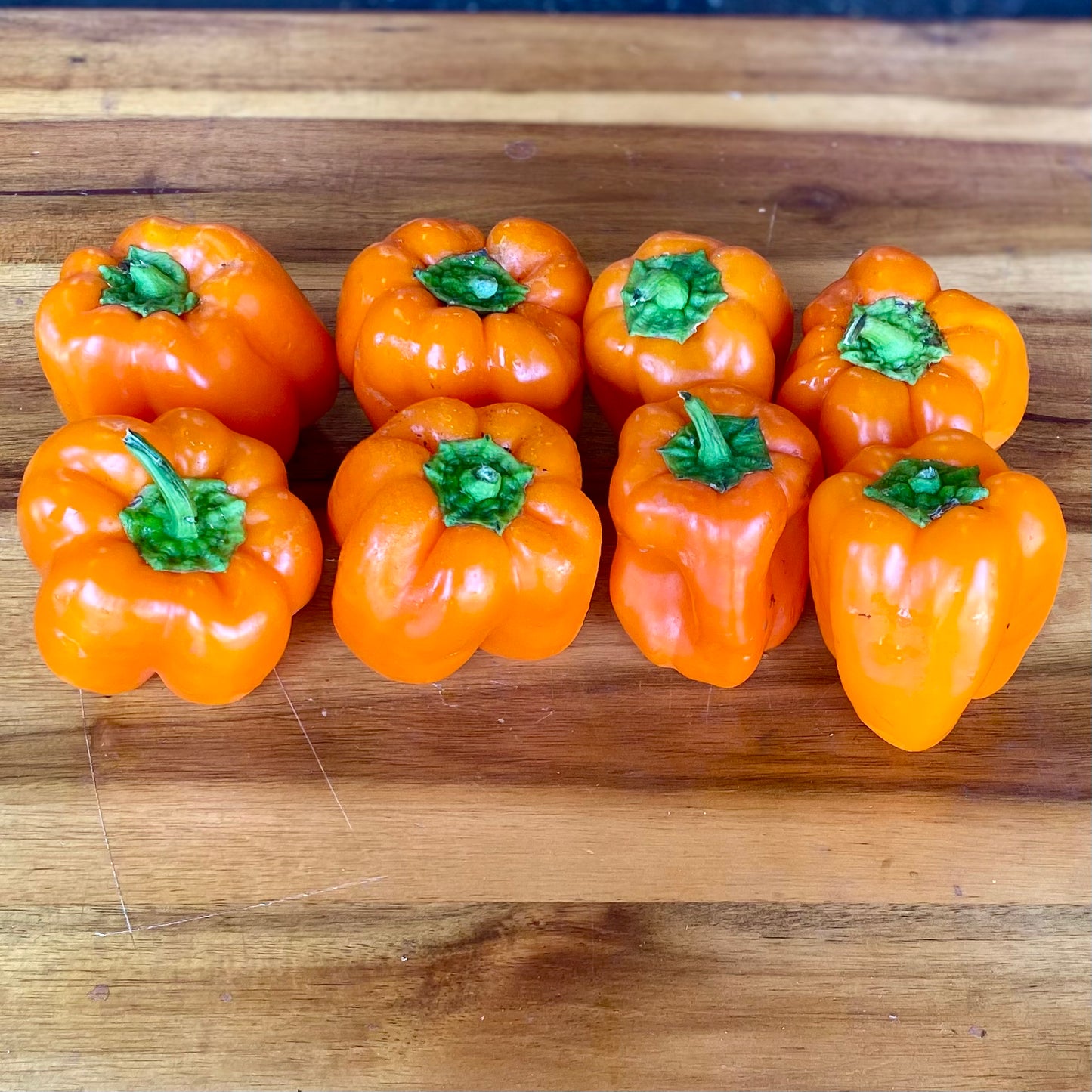 Baby Orange Bell Peppers