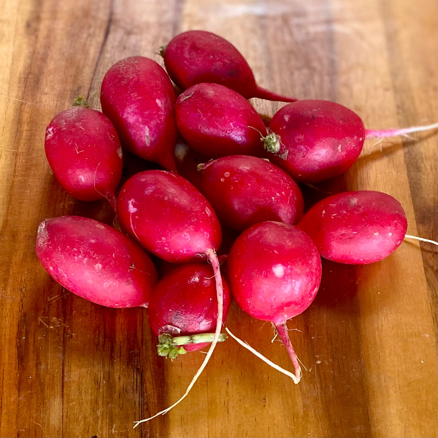Red Radishes