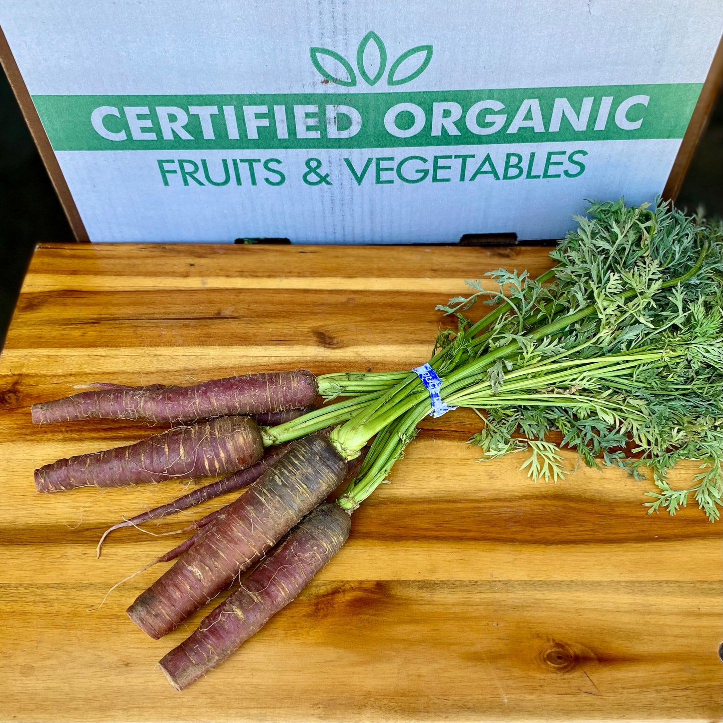 Purple Carrots - 1 bu