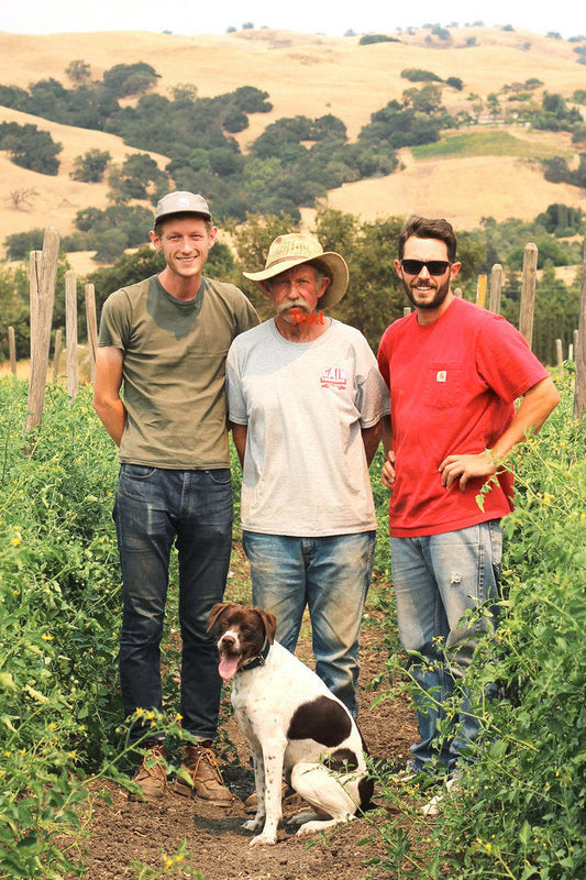 Three people standing with a dog in a field with hills in the background