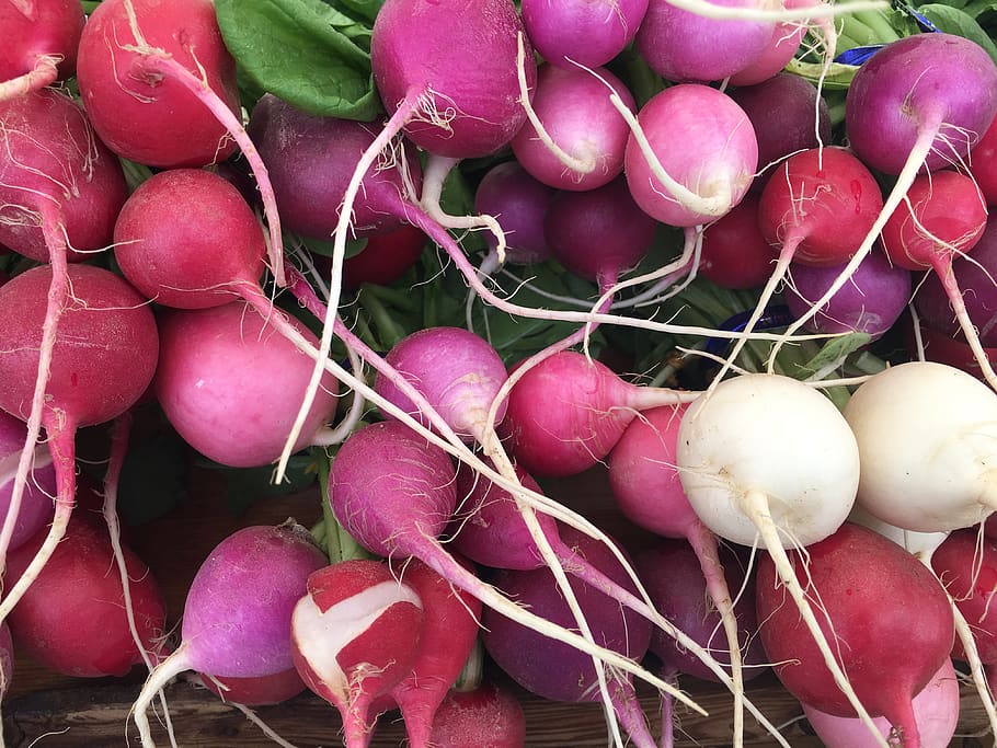 Easter Egg Radishes