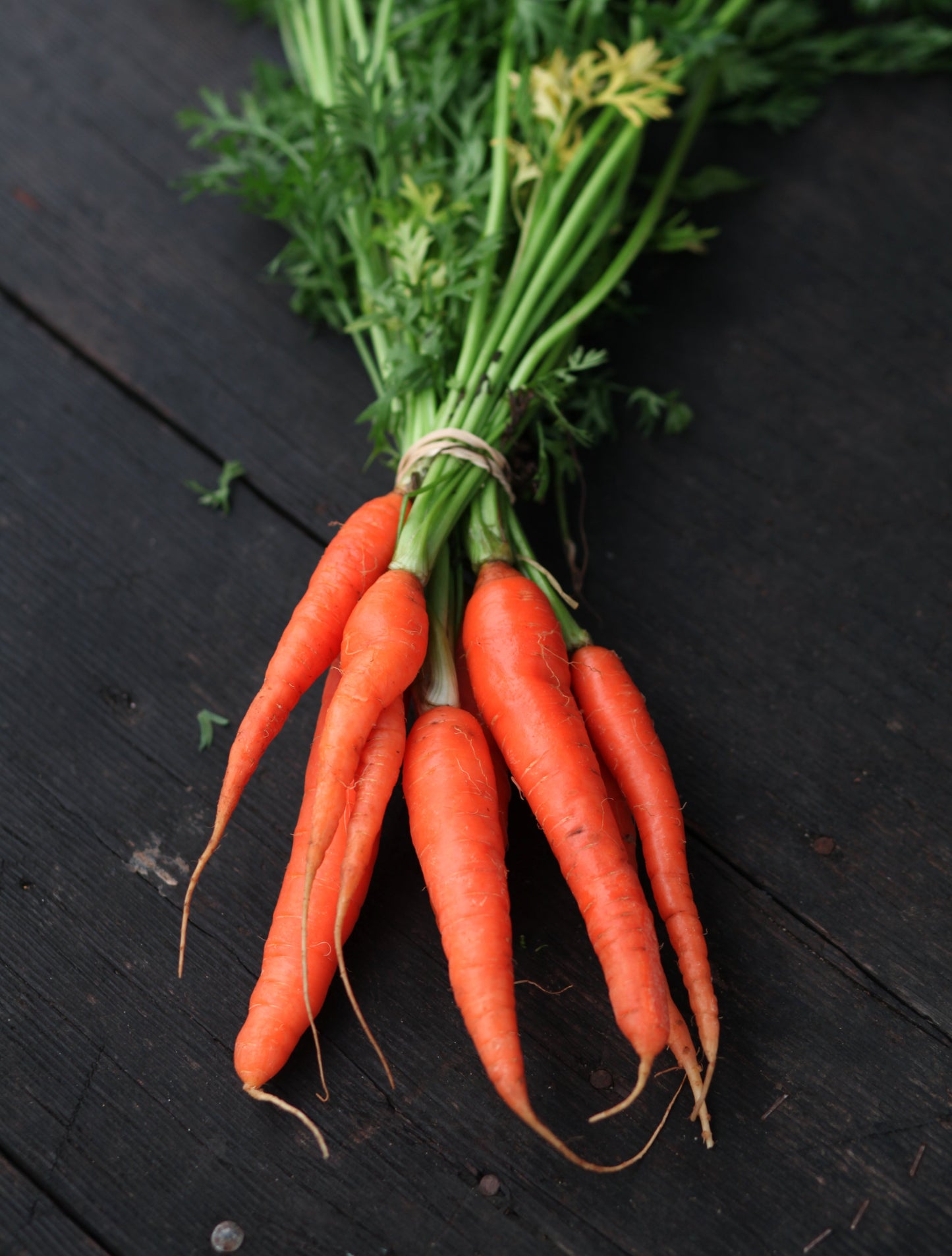 Nantes Carrots - 1 bu