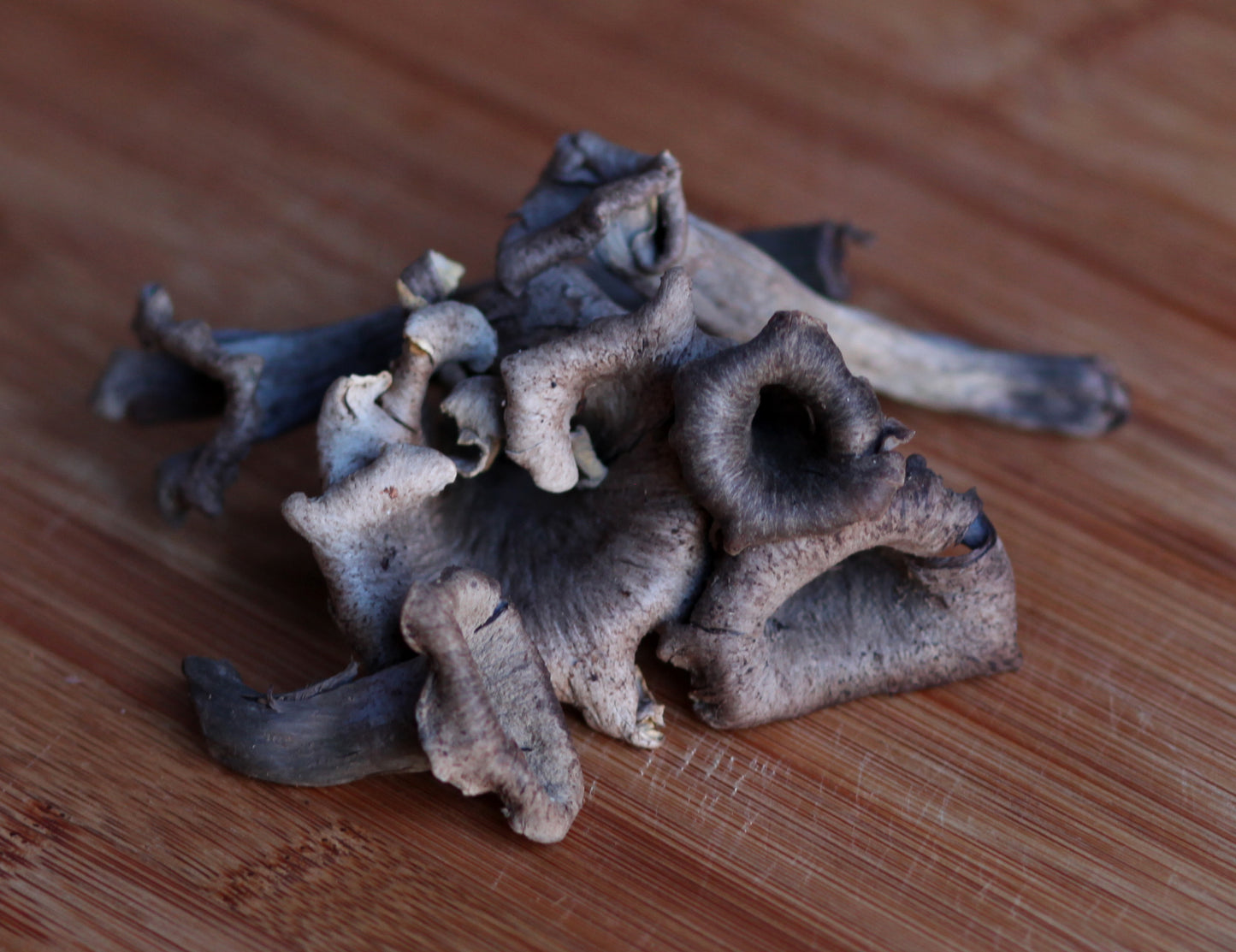 Black Trumpets - .5 lbs