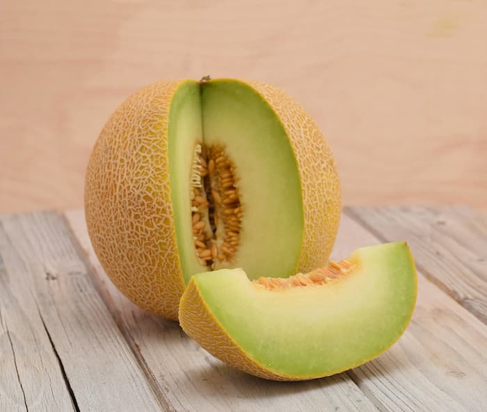 Galia Melon