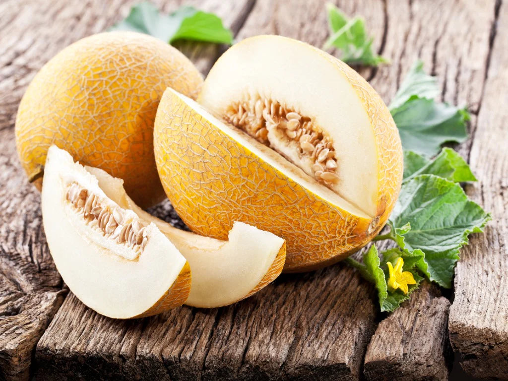 Sharlyn Melon