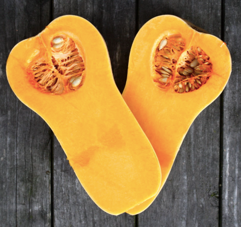 Butternut Squash - 1 ct