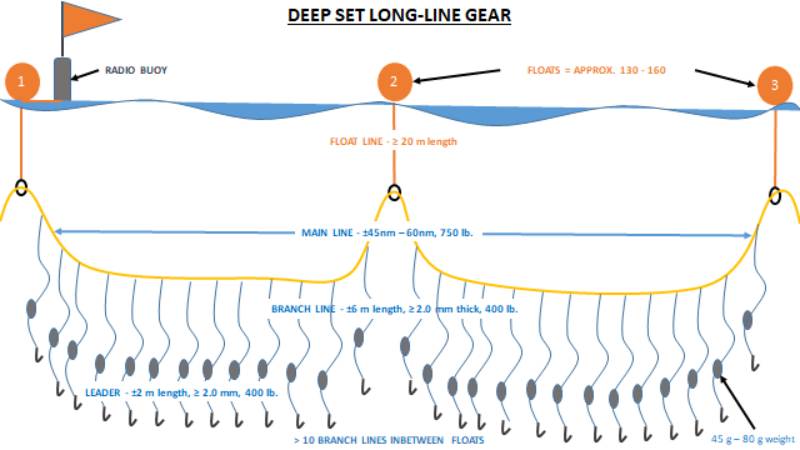 Deep Set Long-Lines