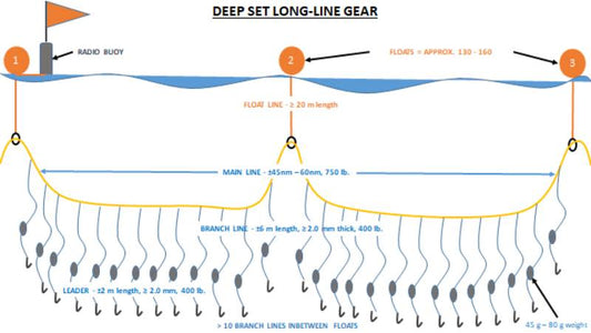 Deep Set Long-Lines