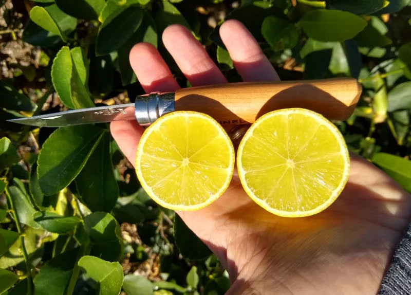 Fruit