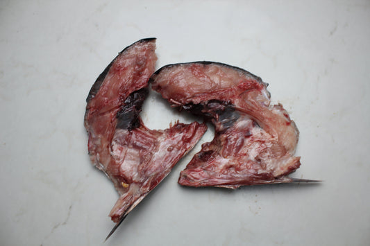 Yellowfin (Ahi) Tuna Collars