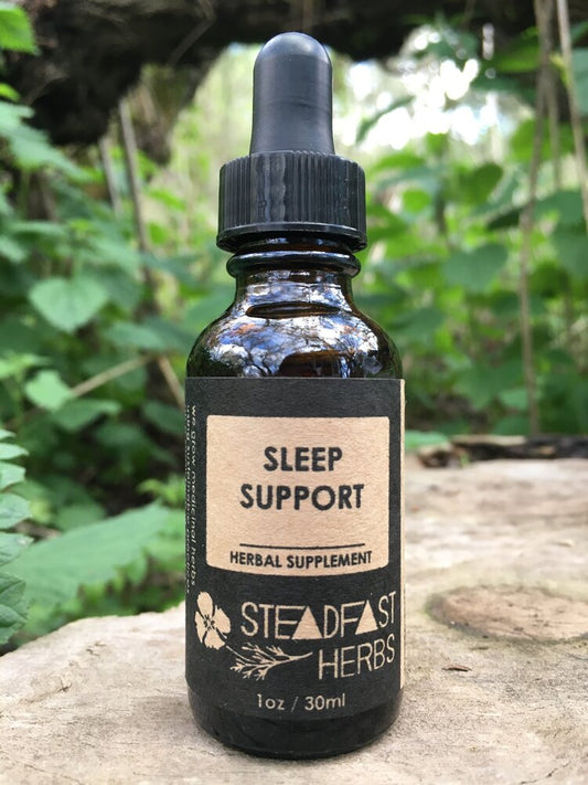 Sleep Support Tincture - 1 oz