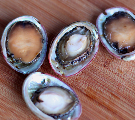 FROZEN & VAC SEALED Red Abalone
