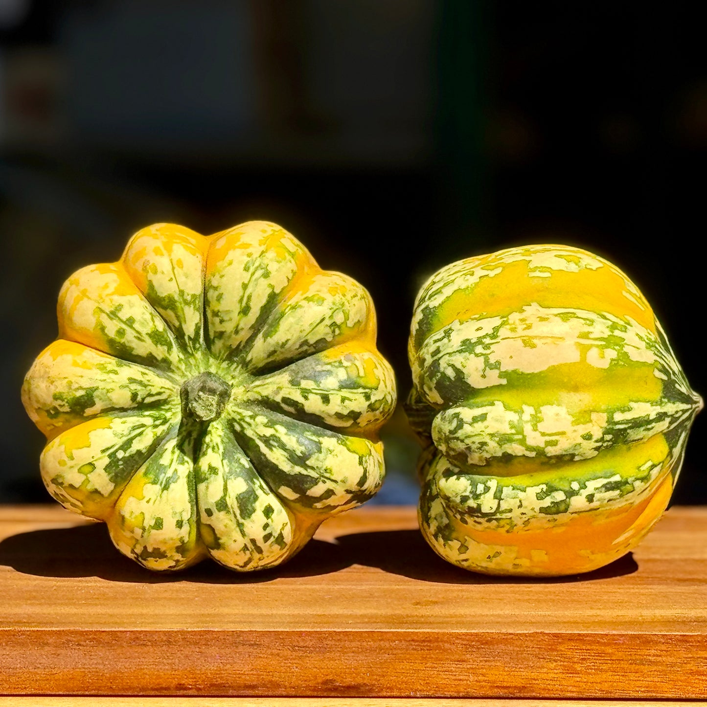 Carnival Squash - 1 ct