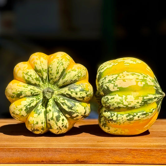 Carnival Squash - 1 ct