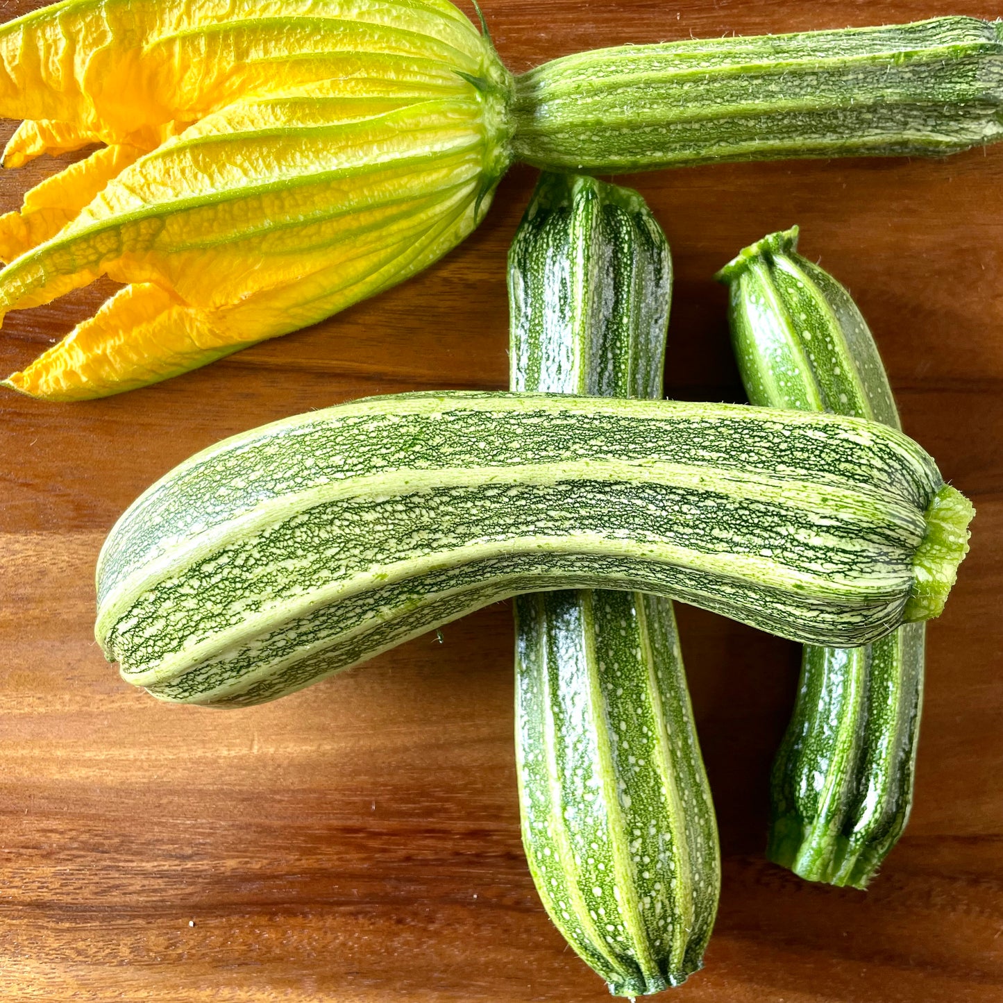 Heirloom Zucchini - 1 lb