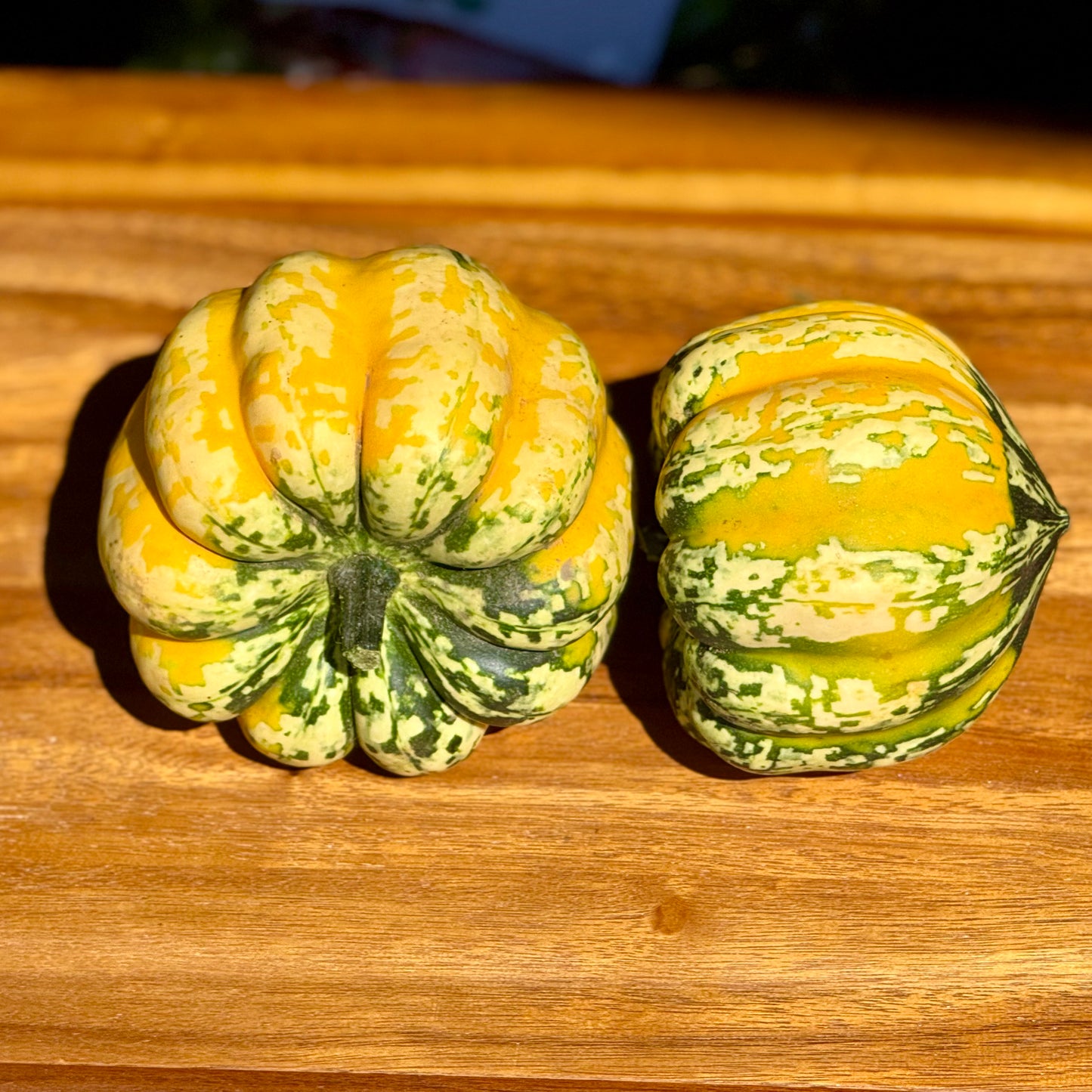 Carnival Squash - 1 ct