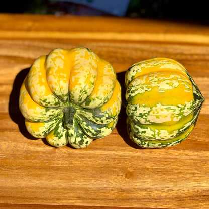 Carnival Squash - 1 ct