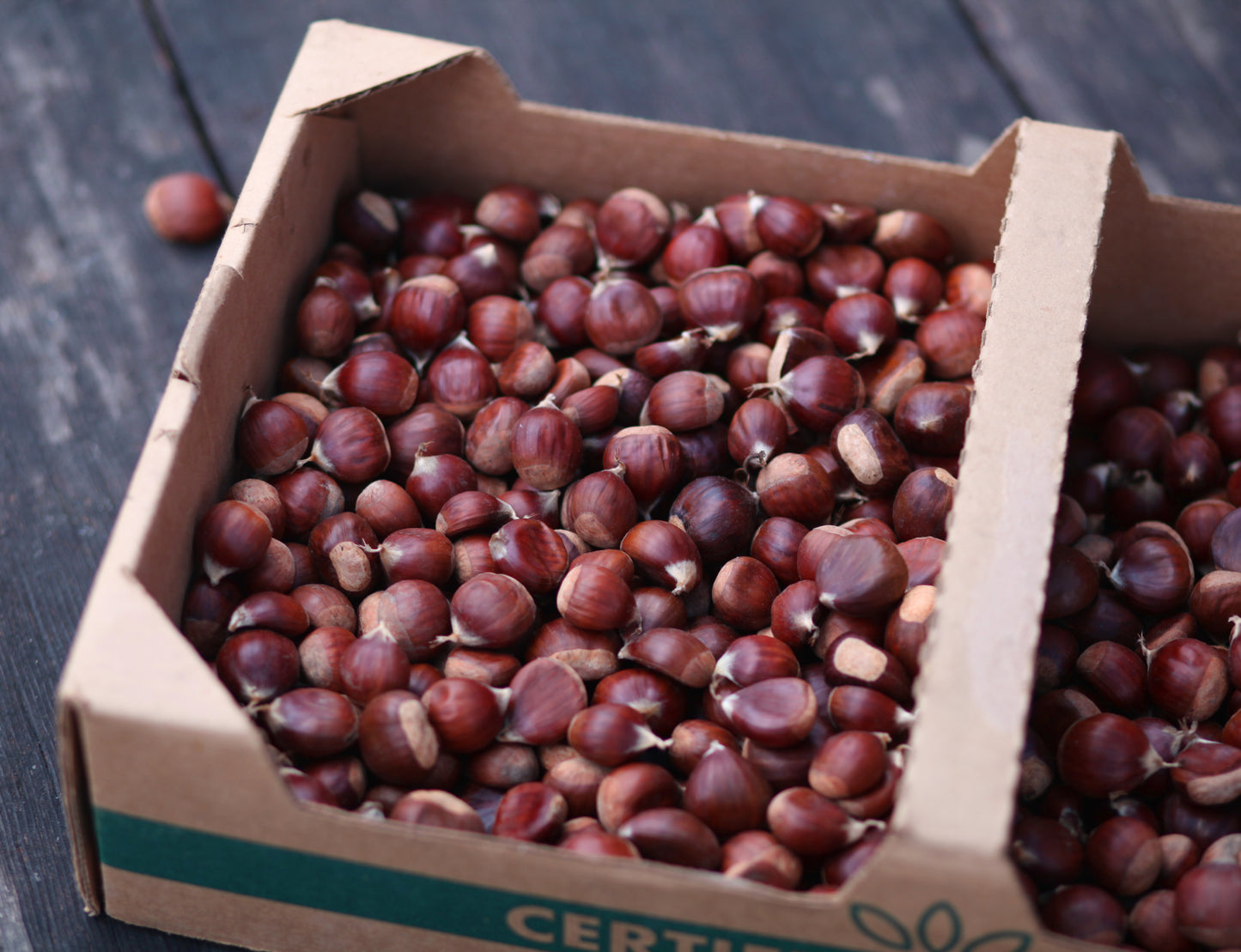 Dry-Farmed Fresh Chestnuts - 8 oz