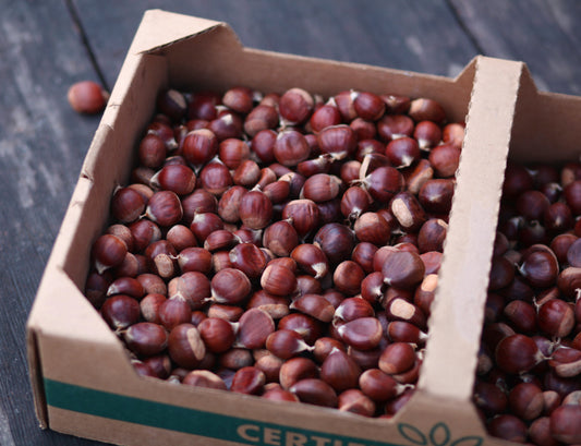 Dry-Farmed Fresh Chestnuts - 8 oz