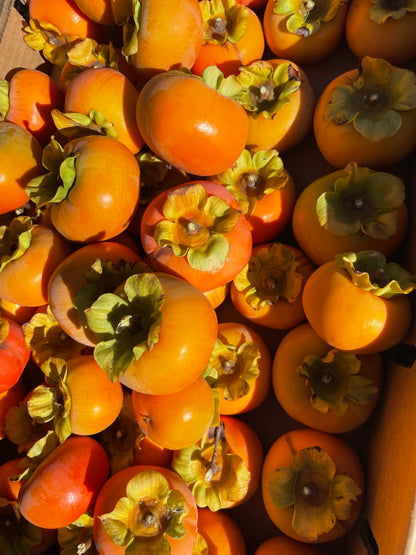 Dried Fuyu Persimmons - 7 oz