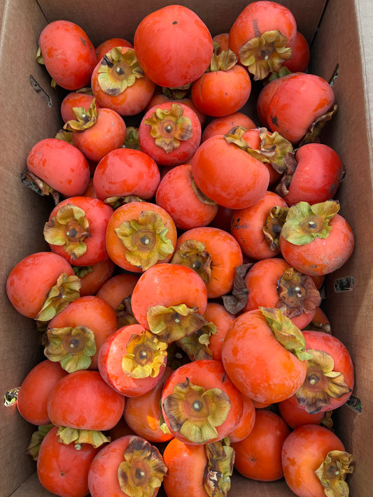 Fuyu Persimmons - 1 lb