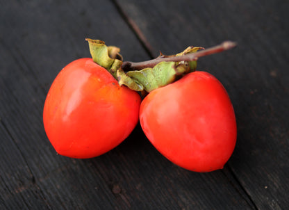 Hachiya Persimmons - 1 lb
