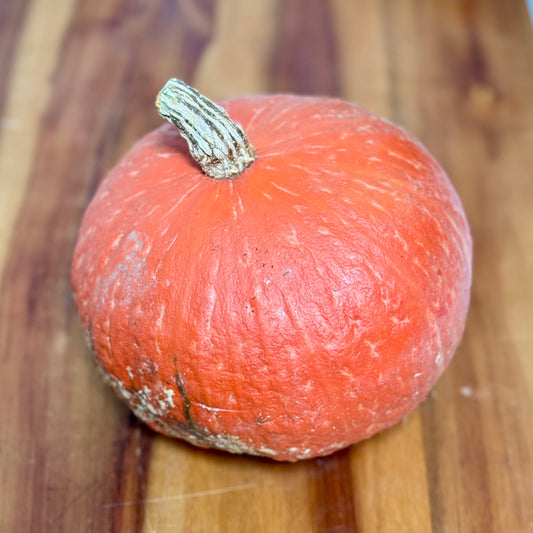 Red Kuri Squash