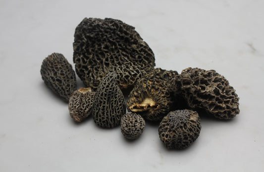Burn Morels - .5 lbs