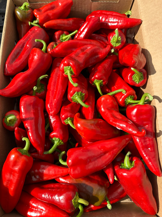 Heirloom Italian Sweet Red Peppers - 8 oz