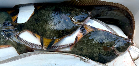Starry Flounder - 1 lb