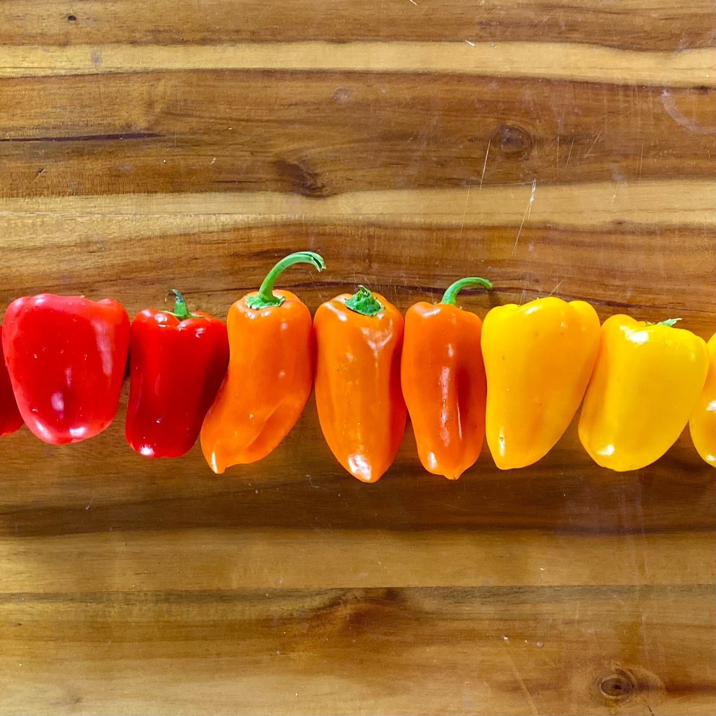 Tri-Color Mini Bell Peppers - 8oz