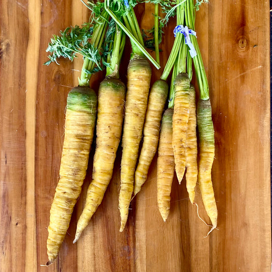 Bunched Yellow Carrots