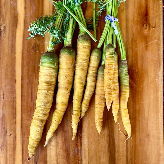 Bunched Yellow Carrots