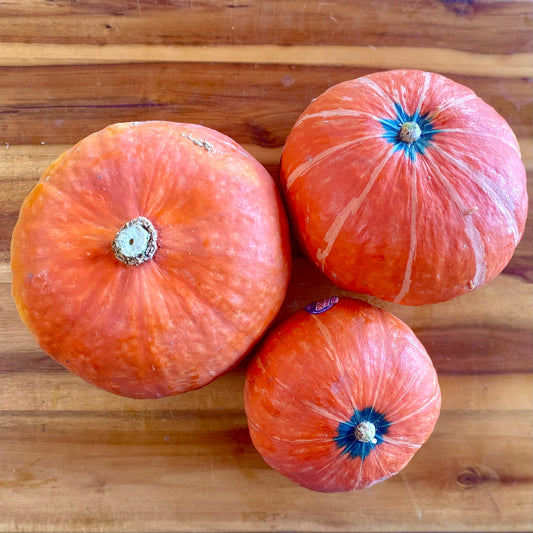 Red Kabocha Squash
