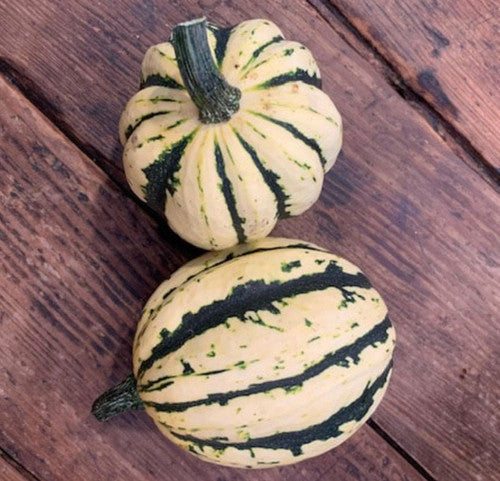 Jester Delicata Squash - 2 ct