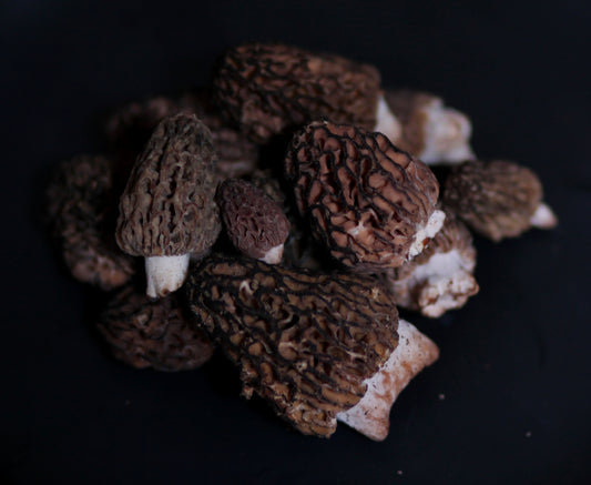 Natural Morels -.5 lbs