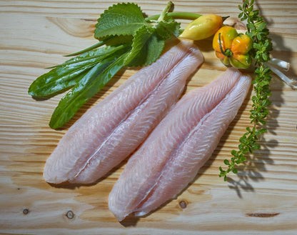 Ocean Whitefish (Tilefish) - 1 lb