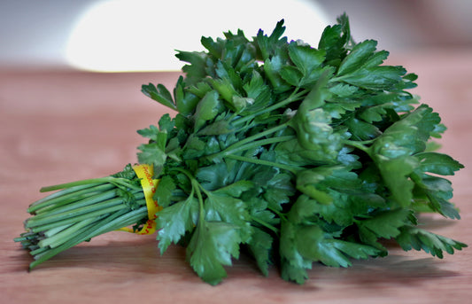 Italian Parsley - 1 bu