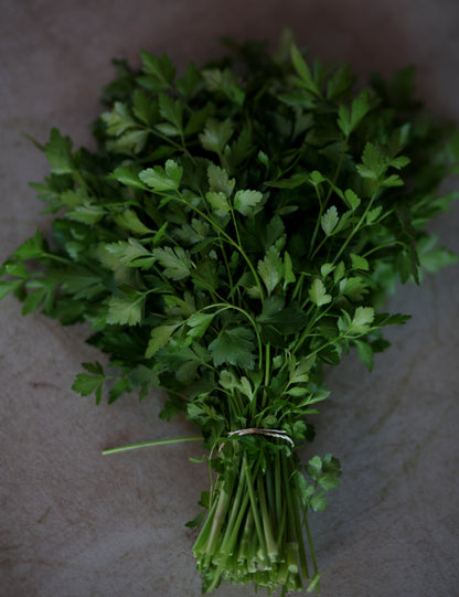 Italian Parsley - 1 bu