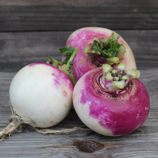 Purple Top Turnips - 2 lbs